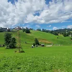 Affittacamere Bukowianski Dworek - Blisko Wyciagi, Termy, Szlaki Turystyczne Oraz Kuchnia I Grill W Obiekcie 3*